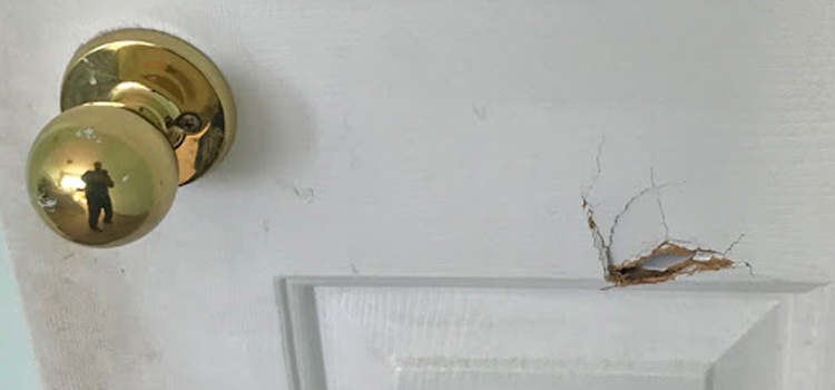 interior door hole repair Mentone